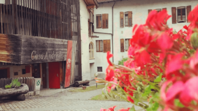 Photo of Museo casa Andriollo – Soggetto Montagna Donna