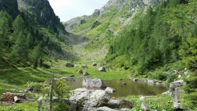 Photo of Escursione da malga Valmaggiore a Cima Cece