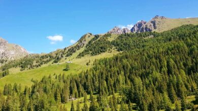 Photo of Cos’è il Lagorai